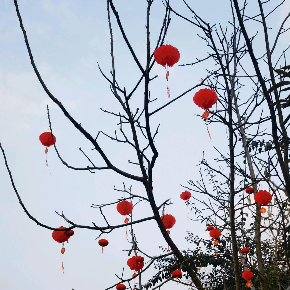 安安物语