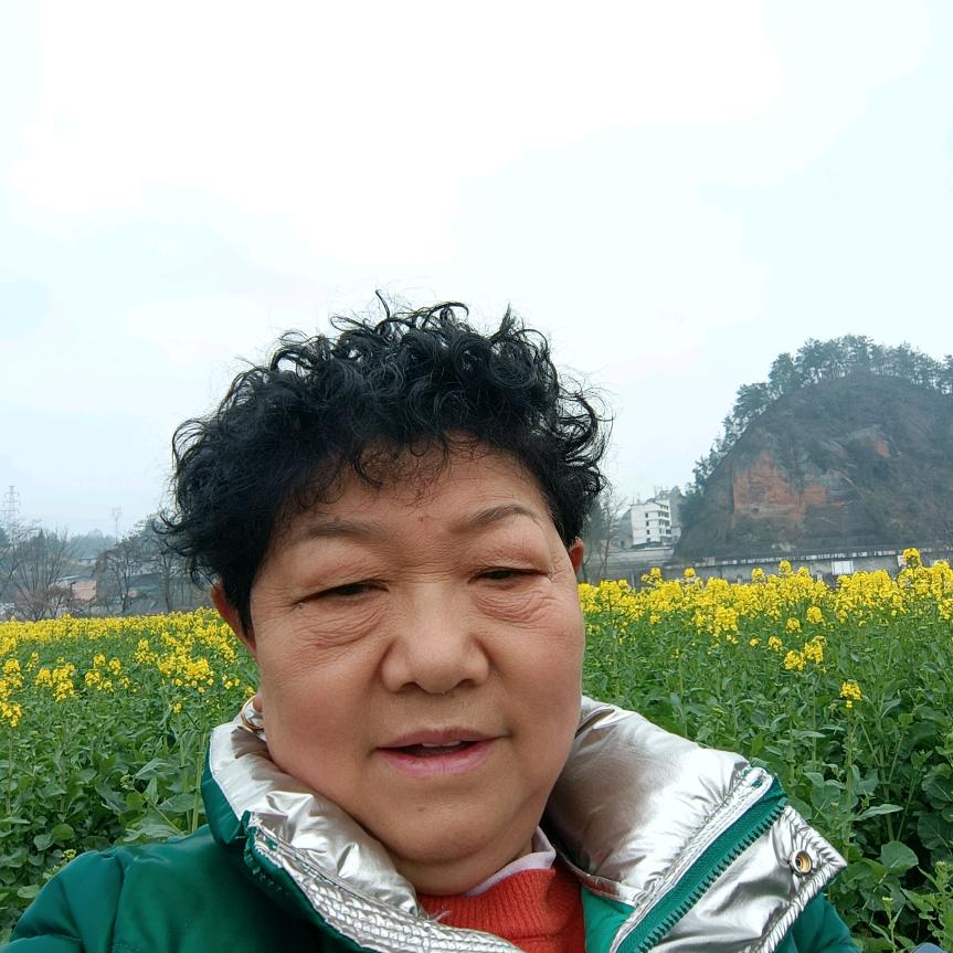 郑奶奶（不定时开播）