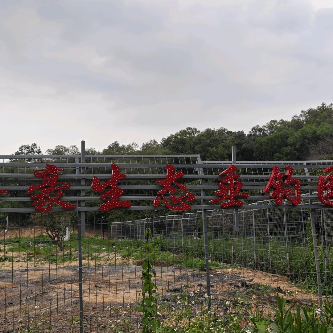 嘉豪生态垂钓园