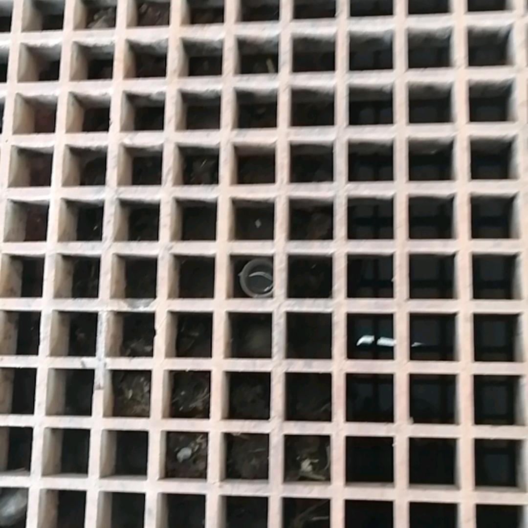 全优