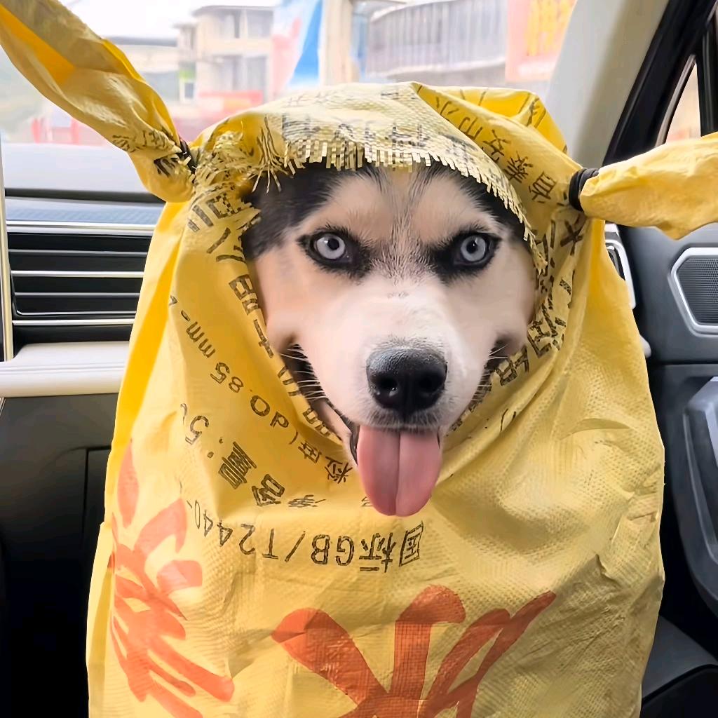 🌈八九不离十🌈
