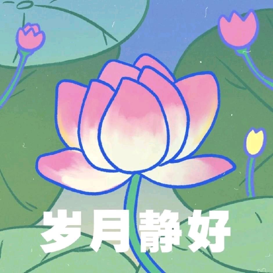 刘大喇叭（全品类撸货版）