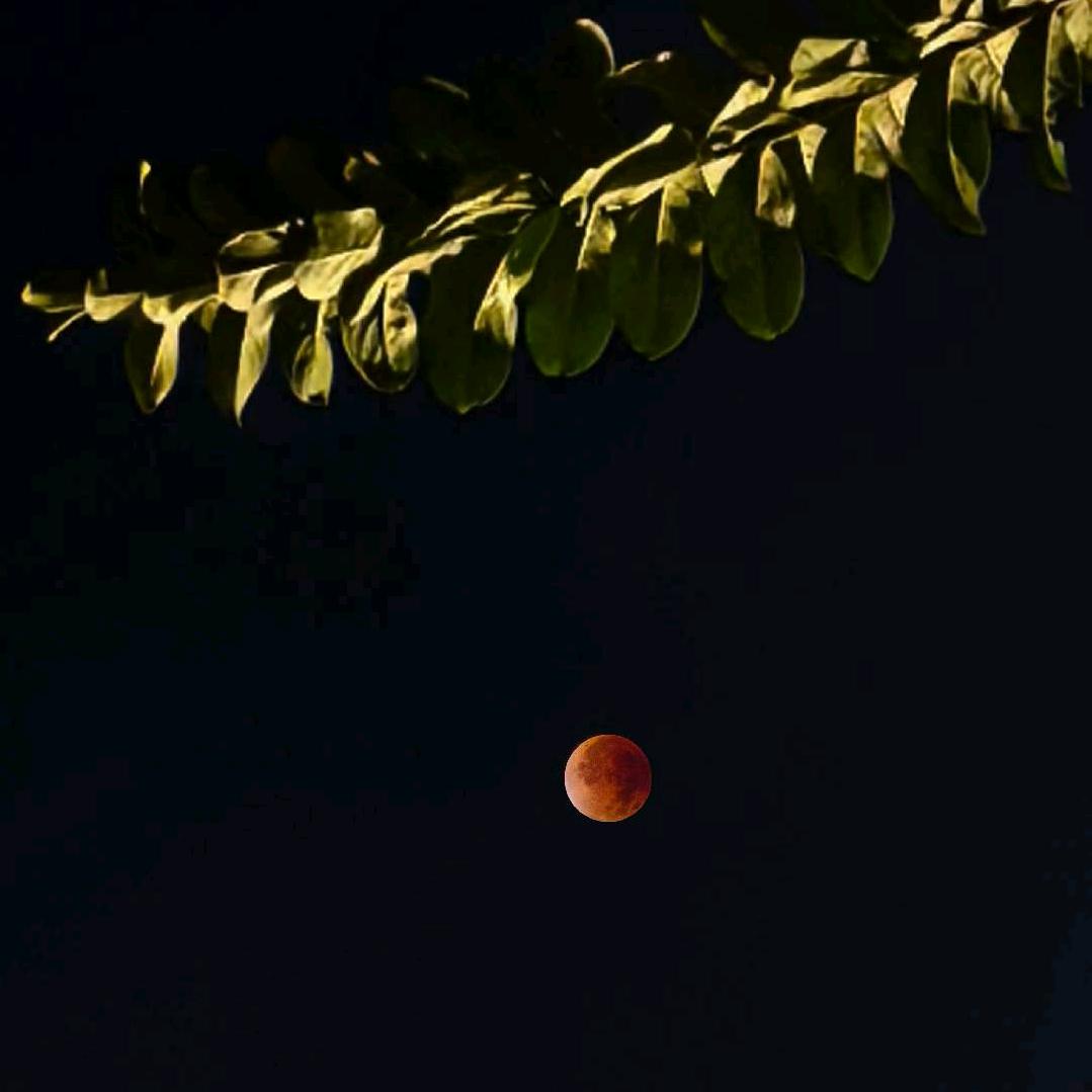 零点工艺葫芦雕刻