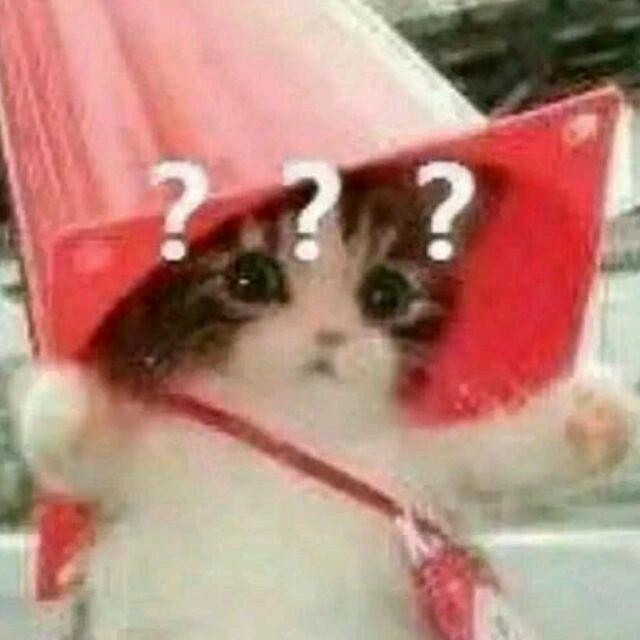 锦