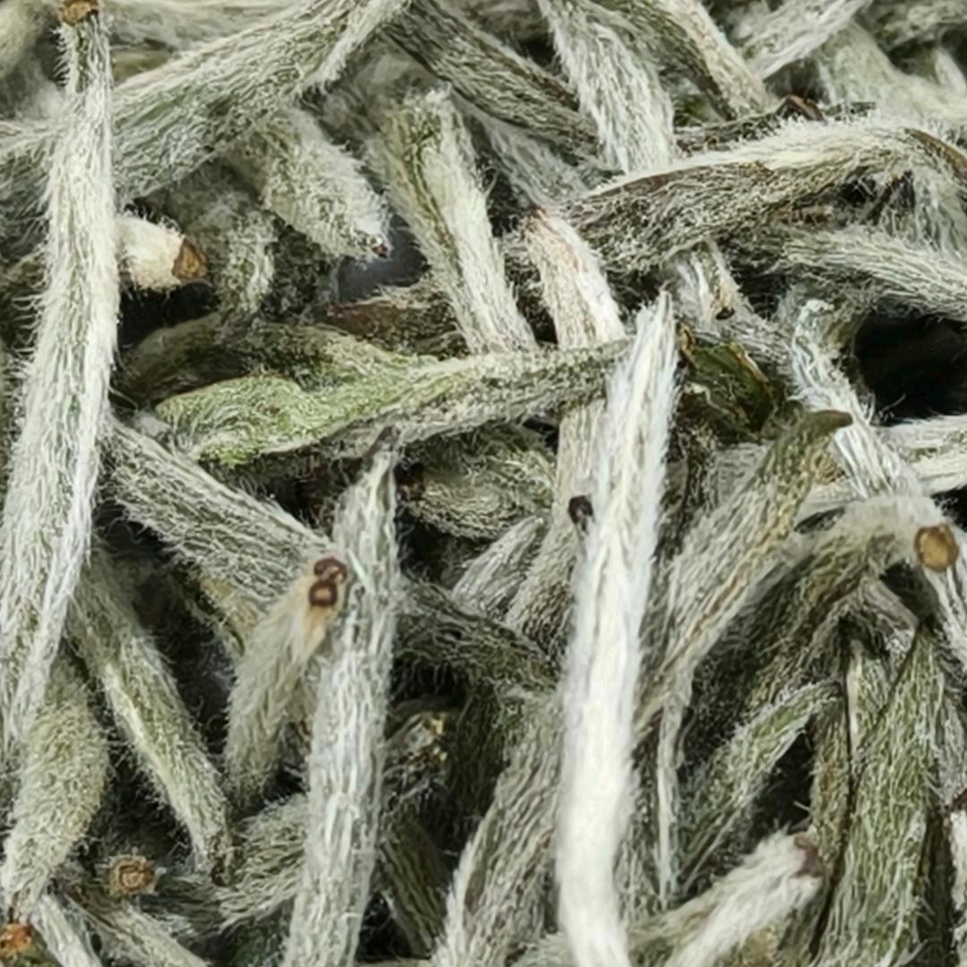 东门岭