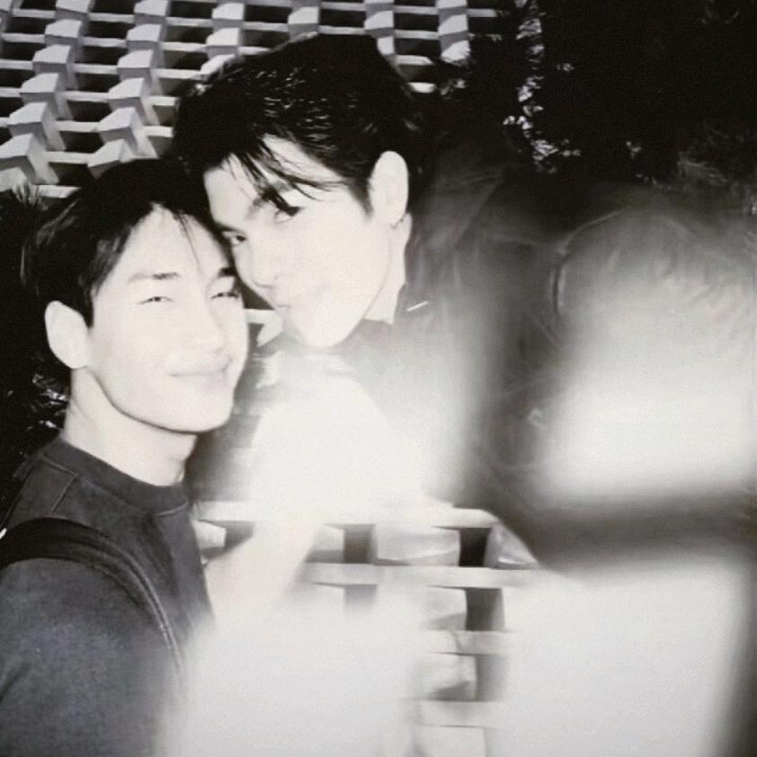 菜园子的海岸mileapo💚💛