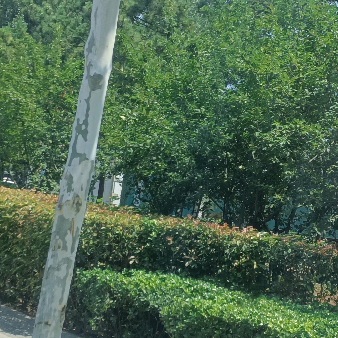 你好   我好     大家好
