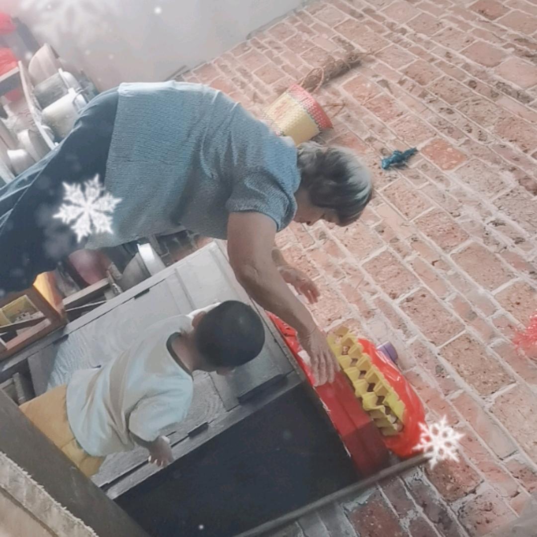 乡村狗大户