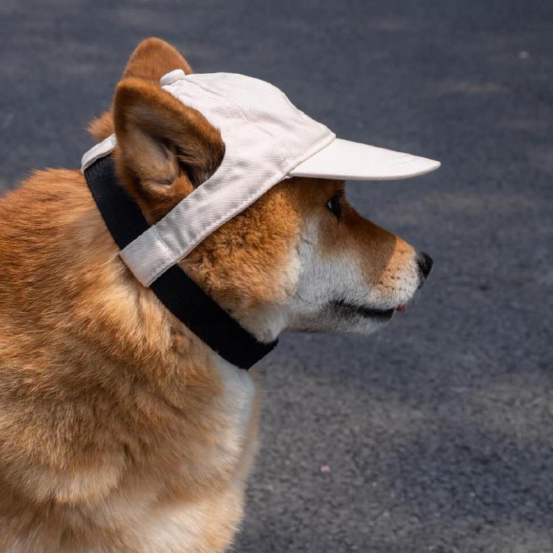 hi