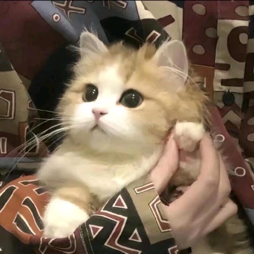 心缘417
