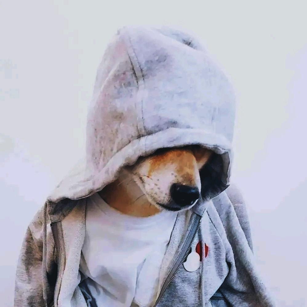 听家驹的歌