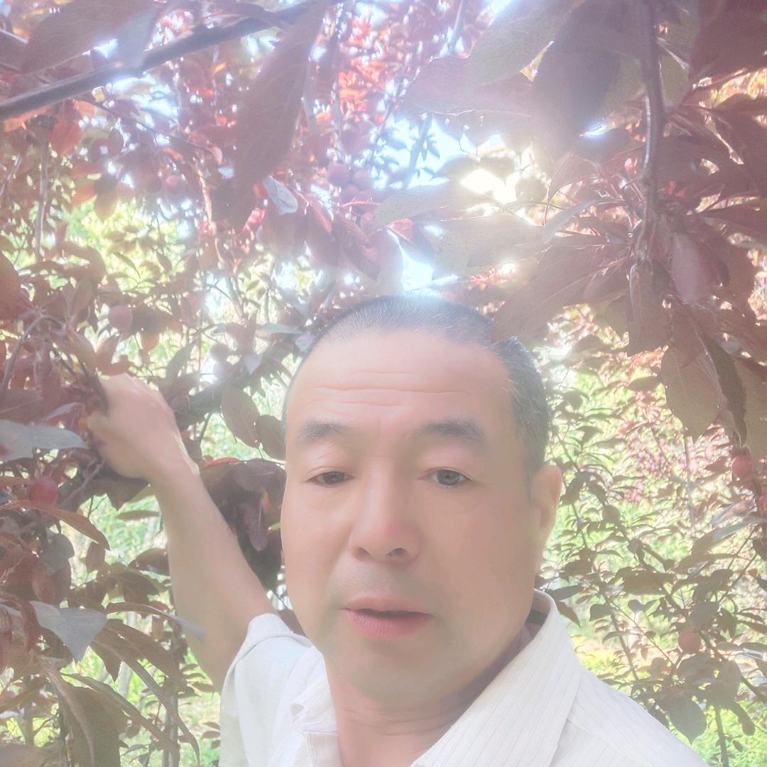 一路顺