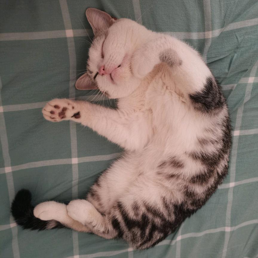 期待回访啊  哈哈哈哈（顶置优先）