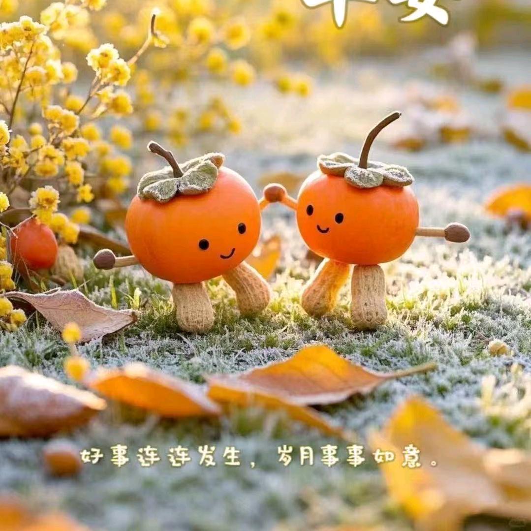 百宝共享