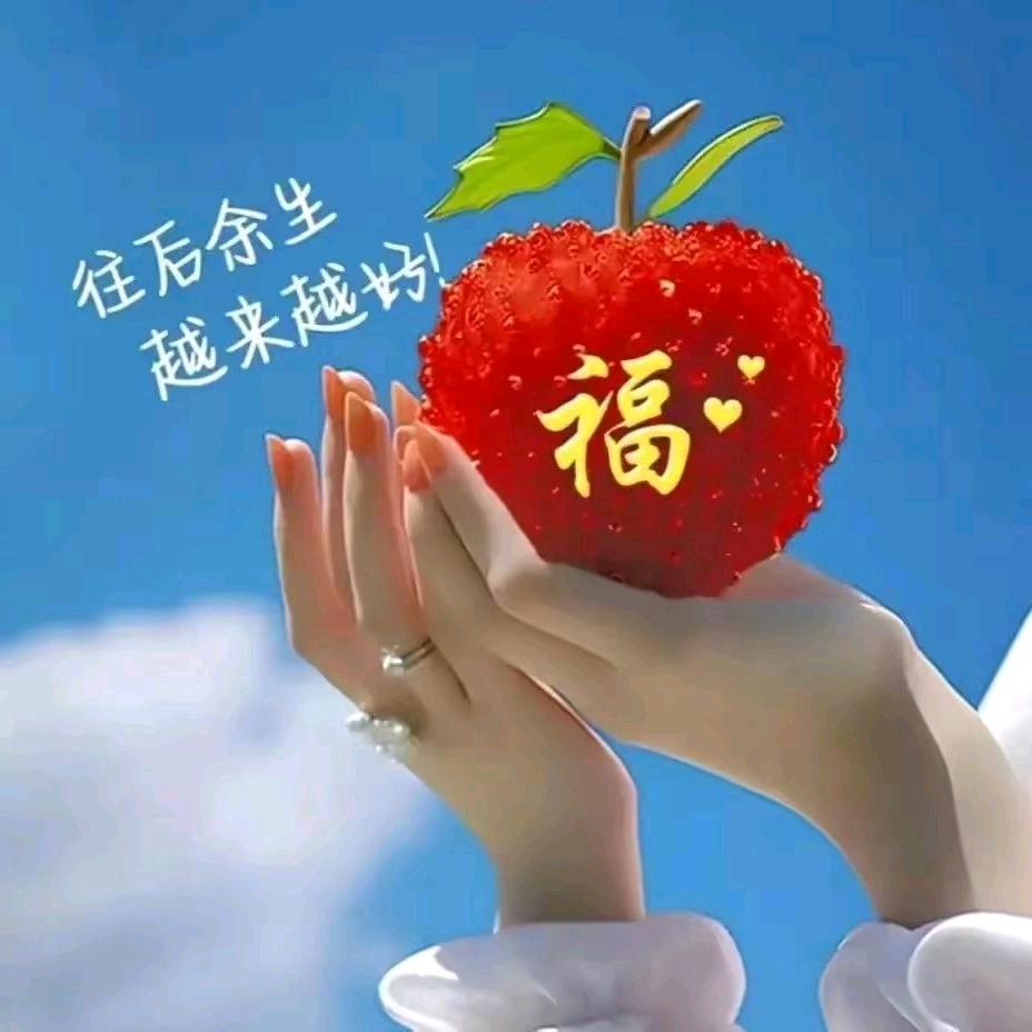 风中奇缘