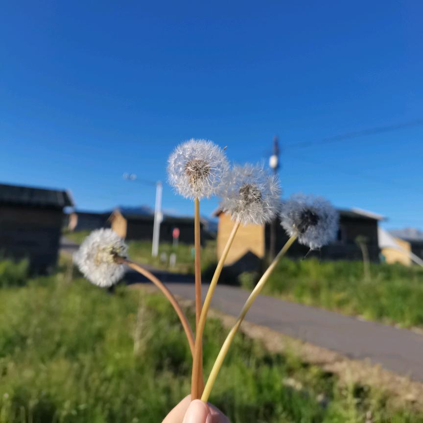 条条不是小短腿