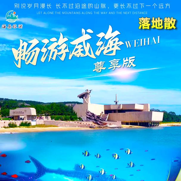 辉达国际旅行社