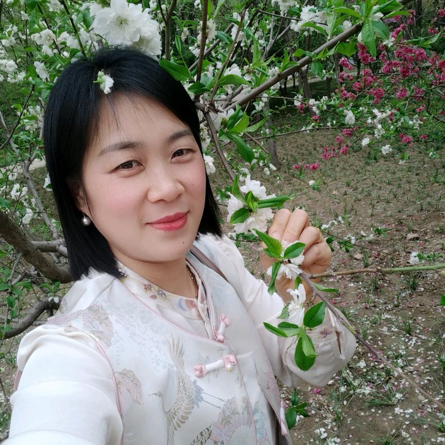 开封圣劳伦斯散热器(主营暖气片，日丰管)