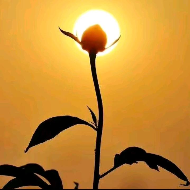 明天会更好~周哥