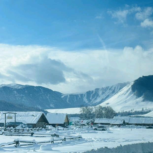 吃乌龟的小肥杨