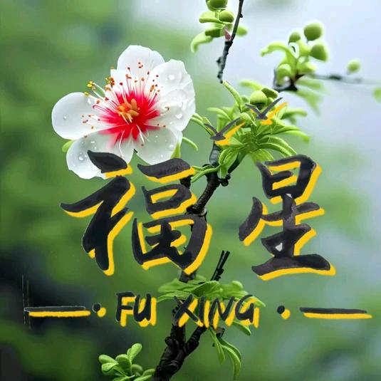 fuxing🌾