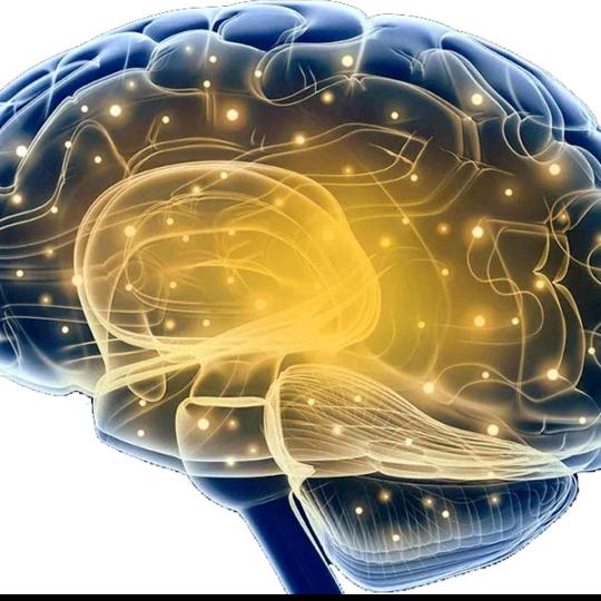 跟我一起去探索