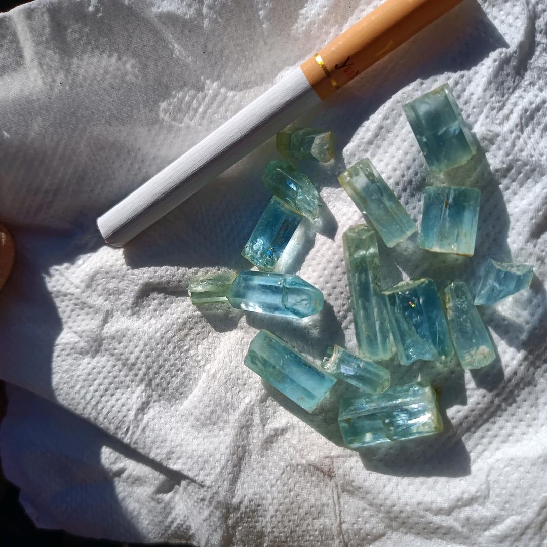 骑马🏇滑雪⛷️