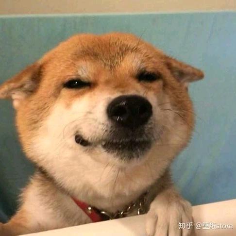 道斯拯救大兵（三角洲行动）