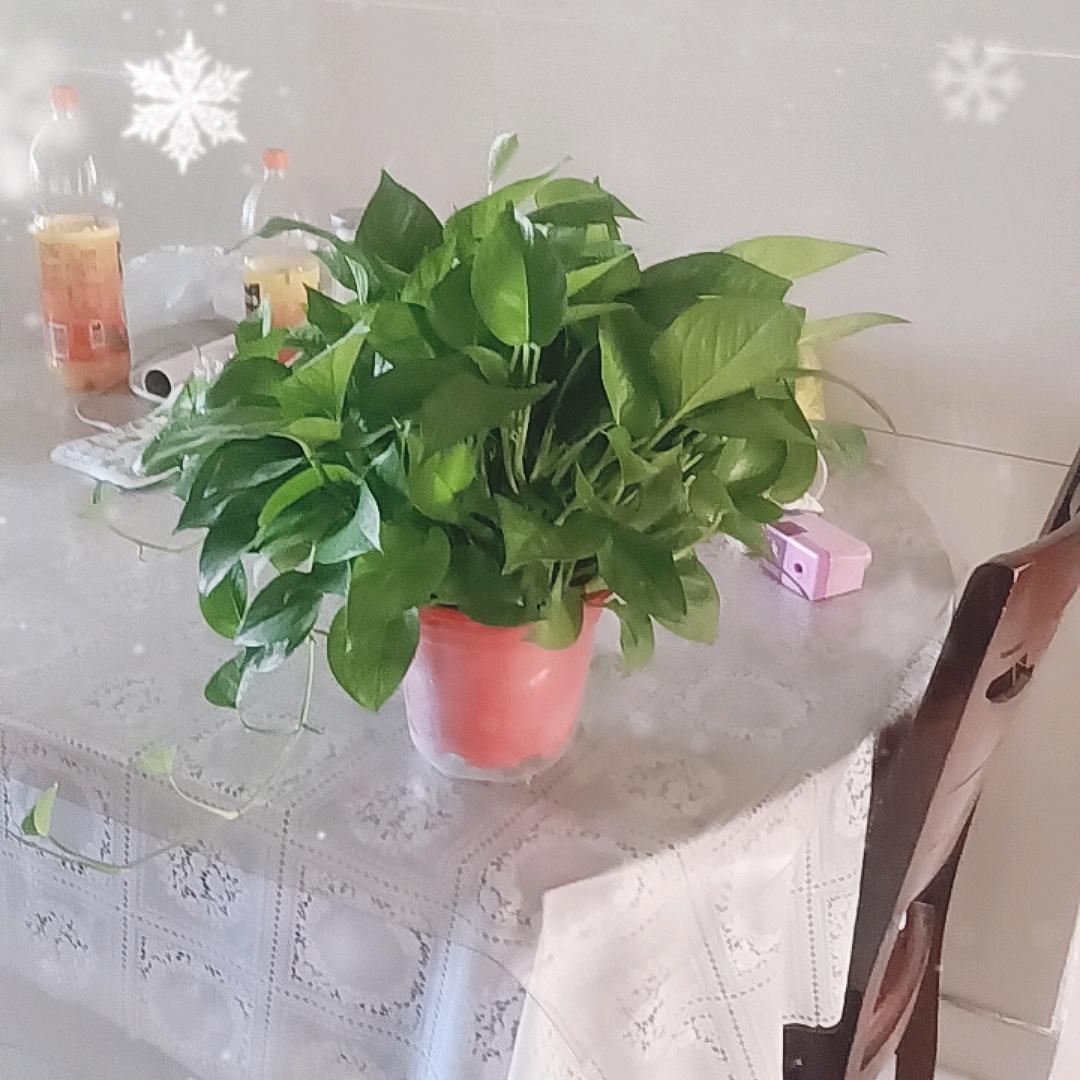 @顺其自然