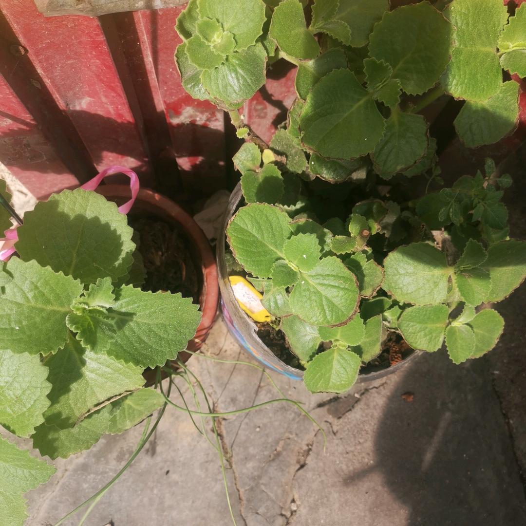 ？