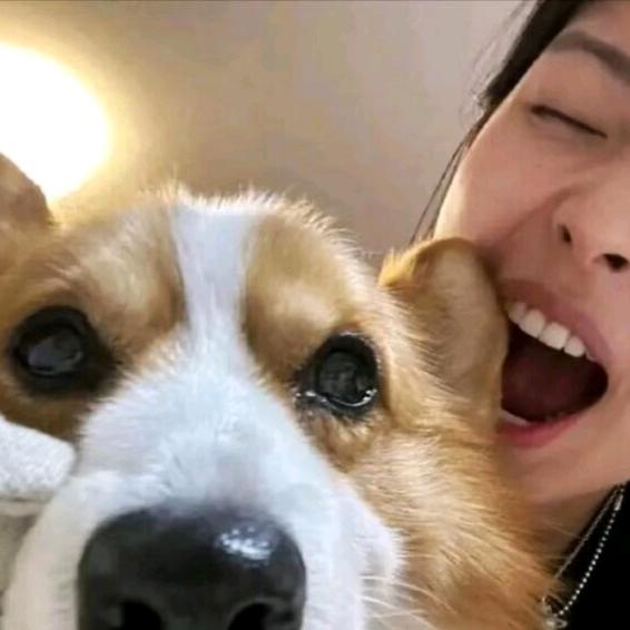当少爷好累