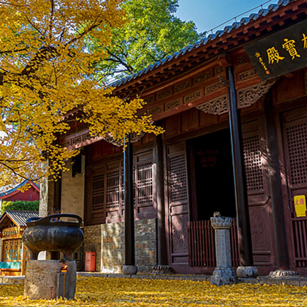 北京赛博斯-LILI