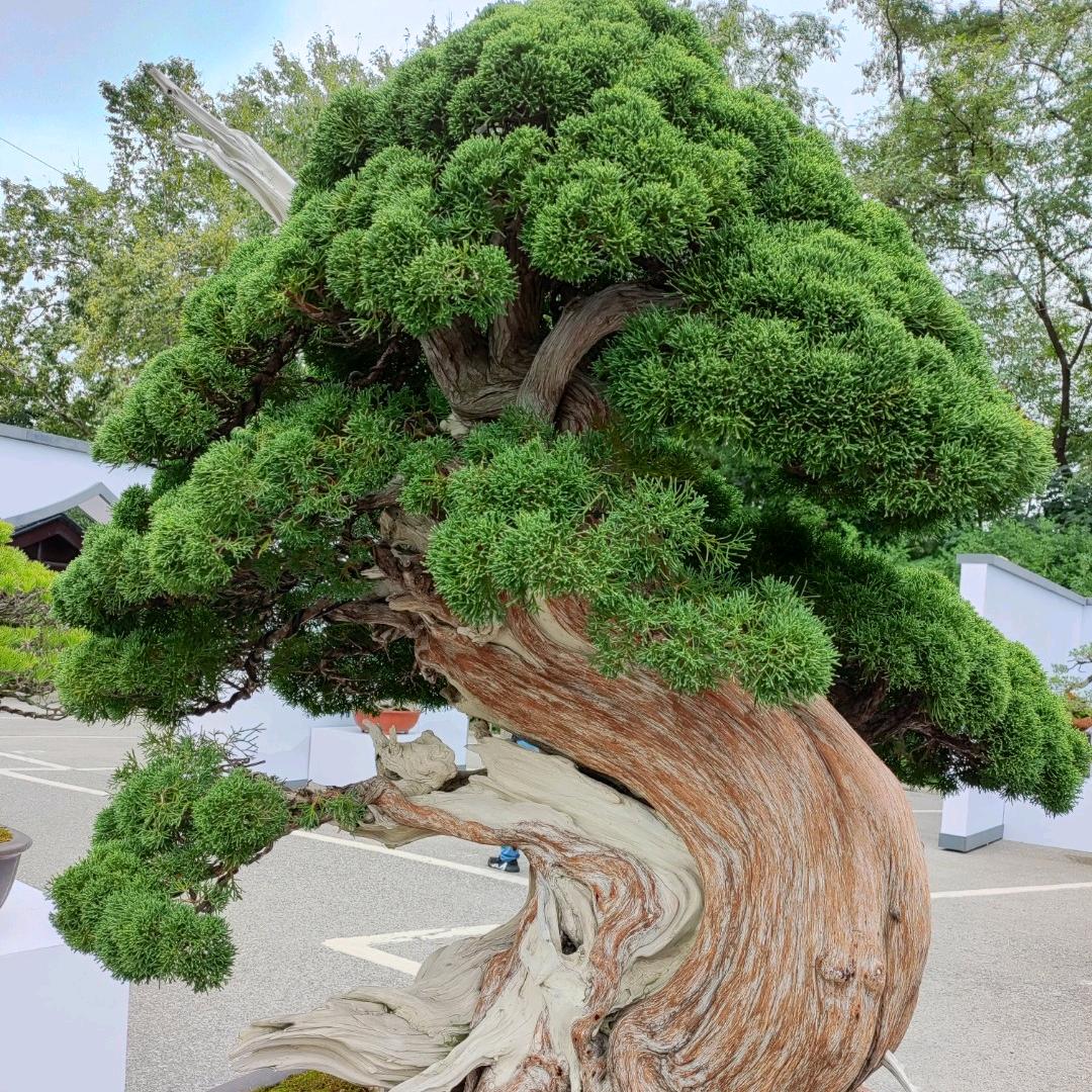 如梦初醒