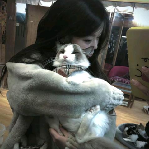 小魚睡ᶻᵘº啦