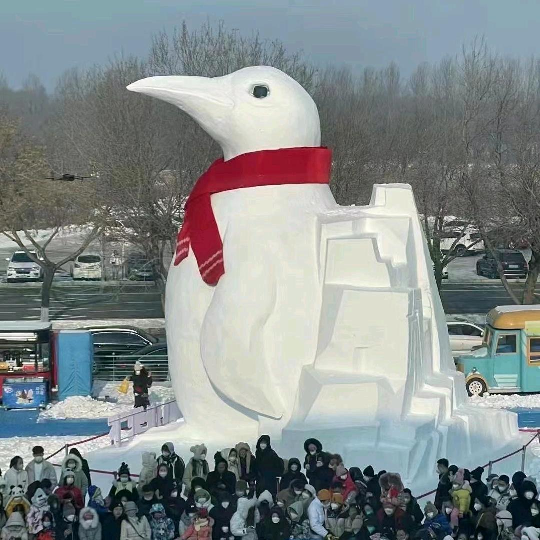 尔滨极地公园表演时间