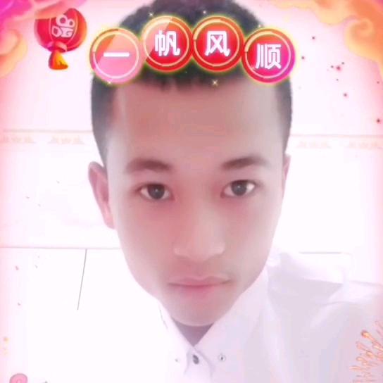 海南本地槟榔苗 椰子苗