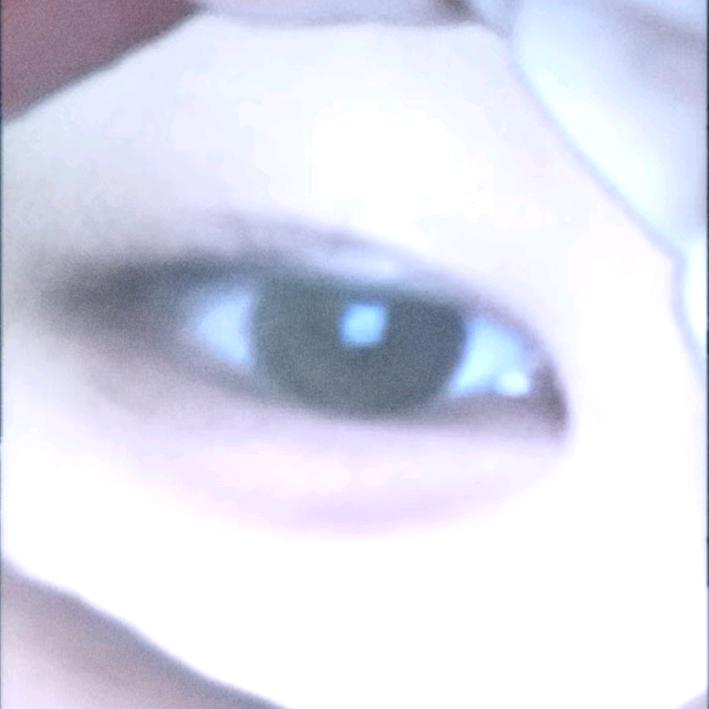 朱猪