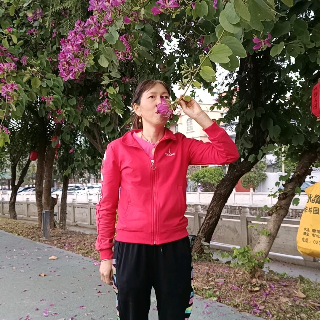 用户5156713015804想念