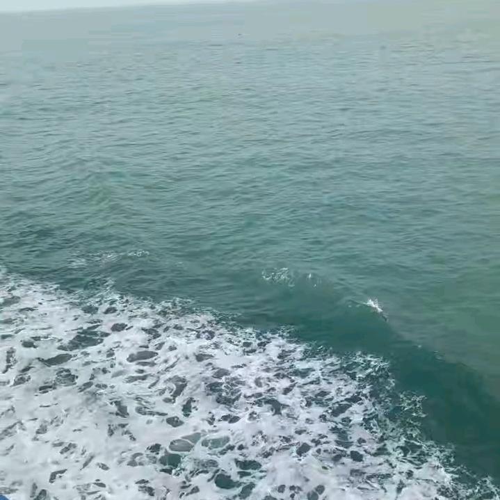 平凡的世界