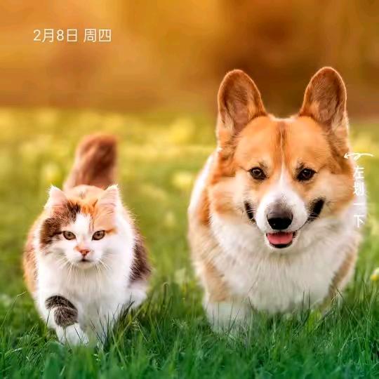 I凱哥