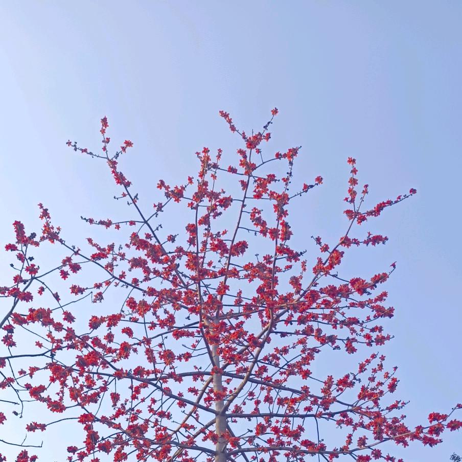 小小年纪