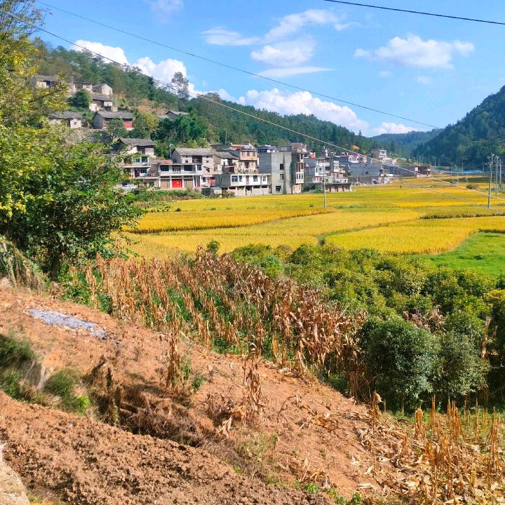 自由自在，自由自在，一个人挺好的，一个人