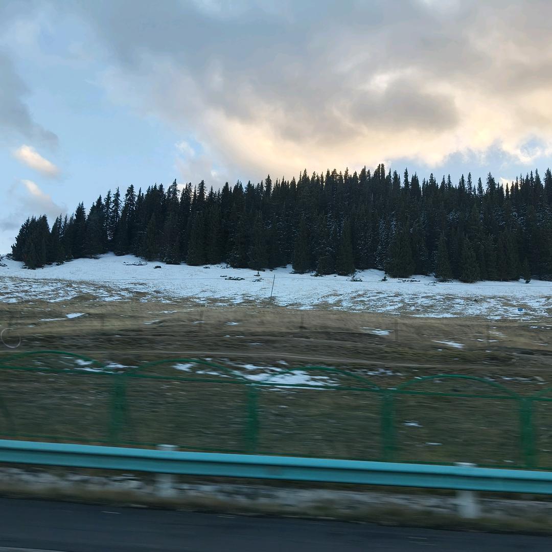 我想我会一直孤单