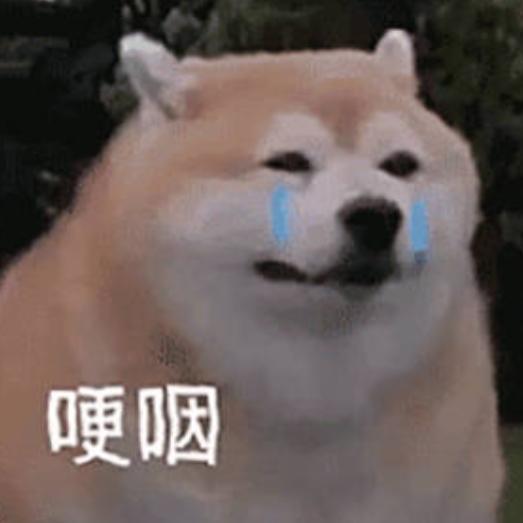 谁吃仰望星空
