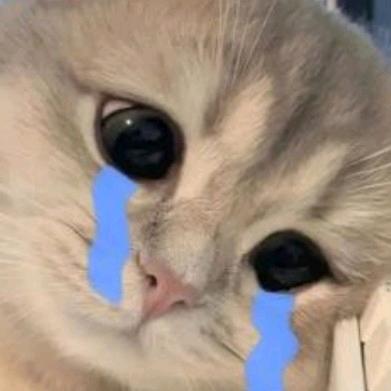 生椰丝绒要好运