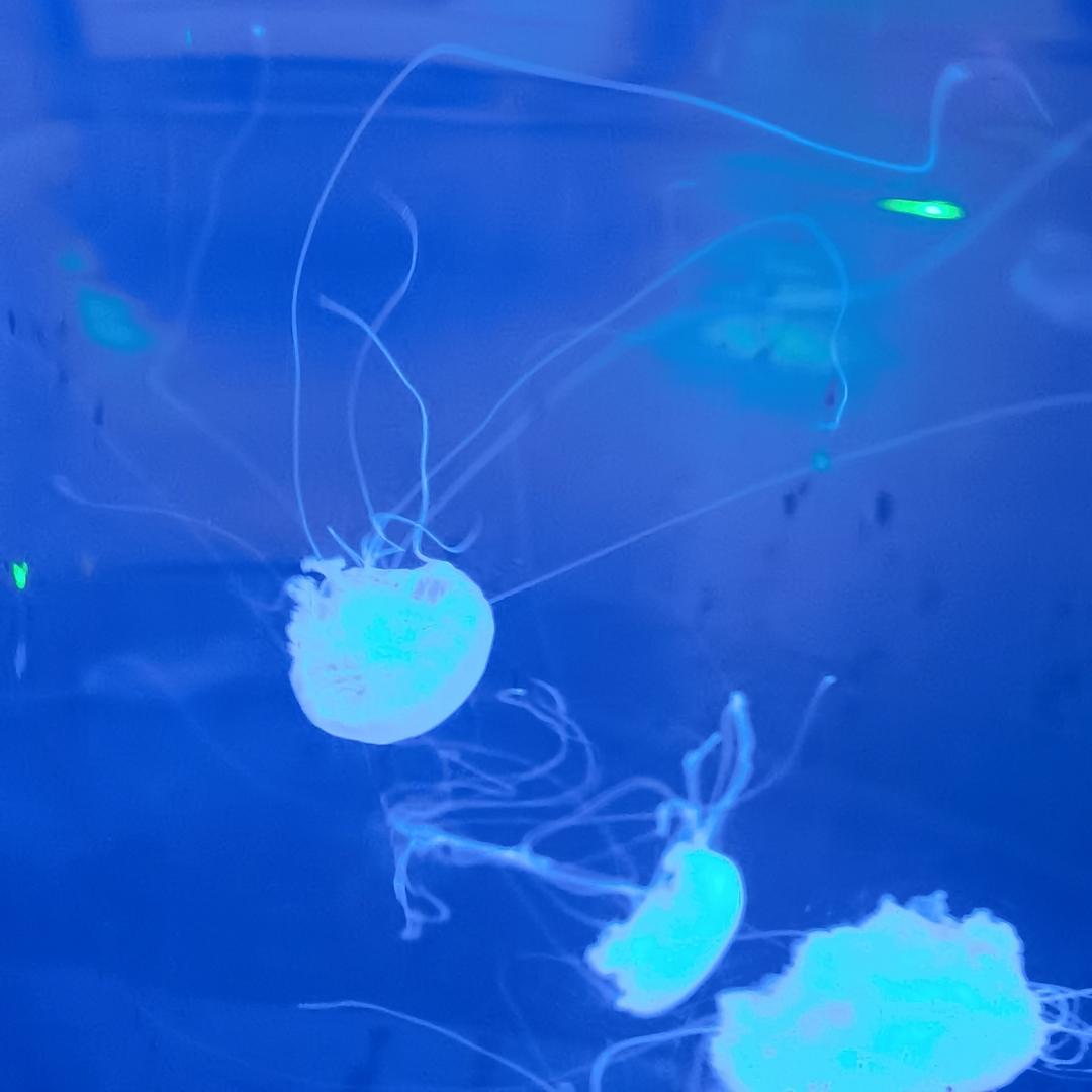 😘😘快乐人生😘😘