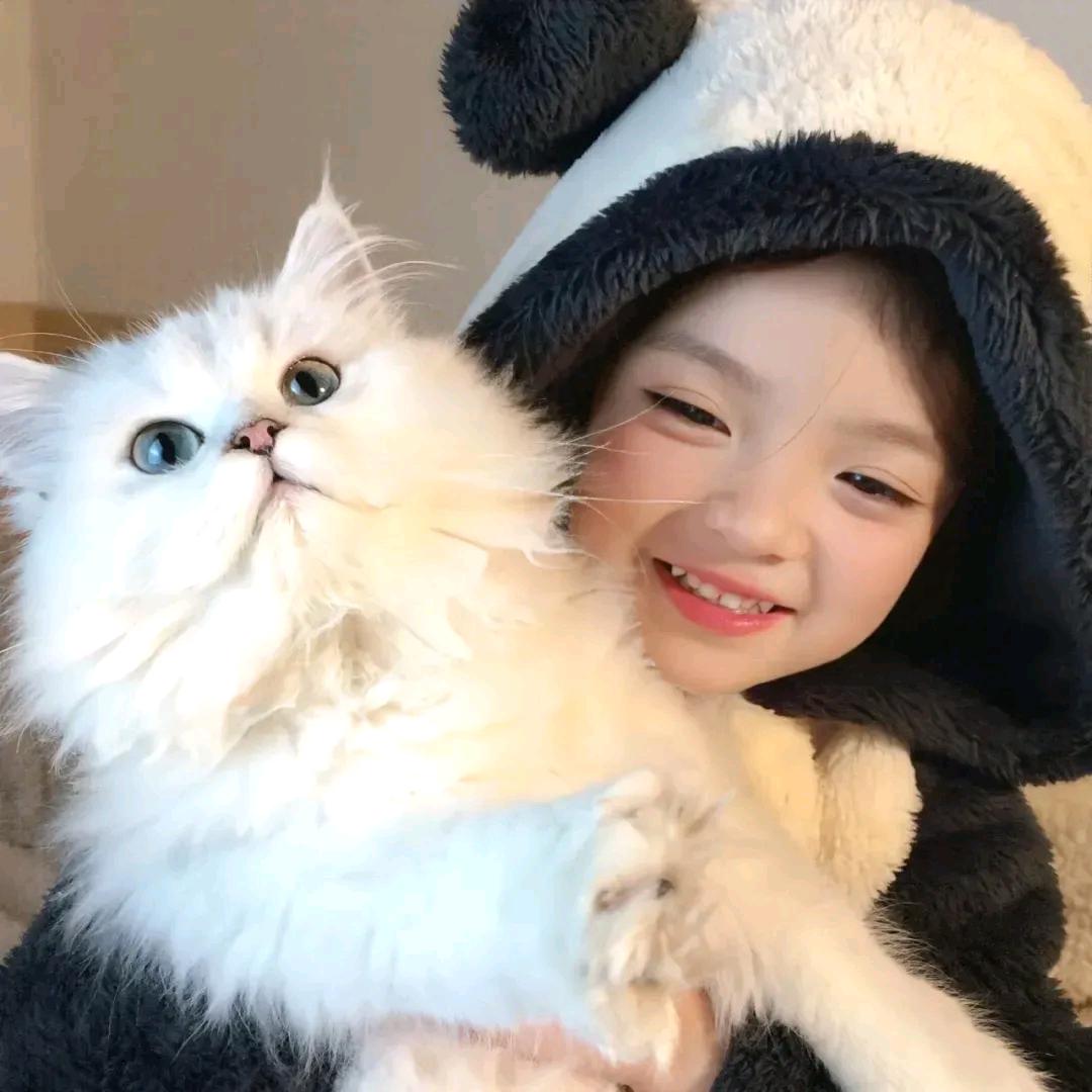 🌸甜茶♡小喵咪😸