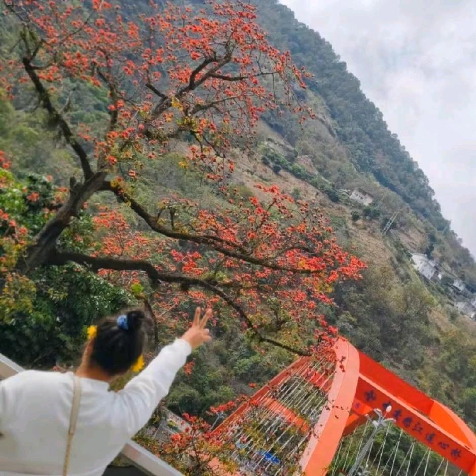 请你心疼我