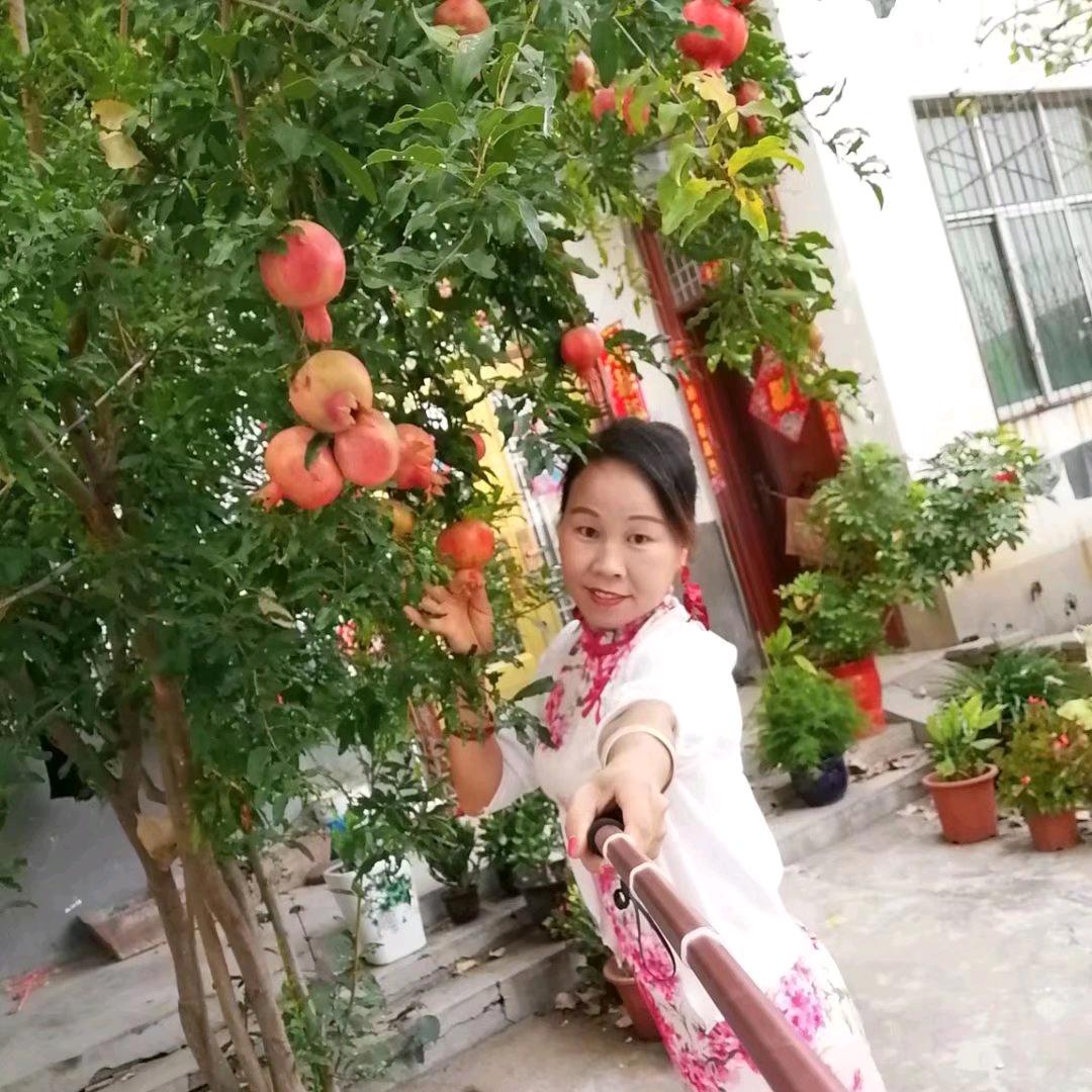 快乐妹！舞阳锦艺窗帘行！