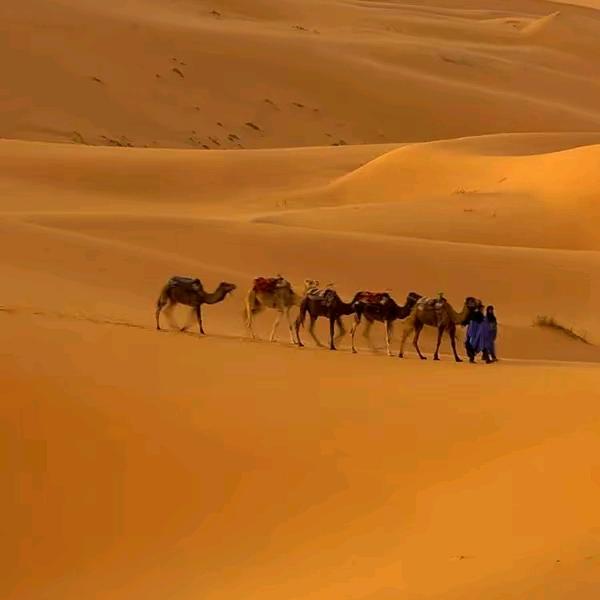 综合市场秀琴百货8-14(一珠露水)